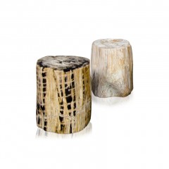 PETRIFIED WOOD STOOL POLISHED - CHAIRS, STOOLS